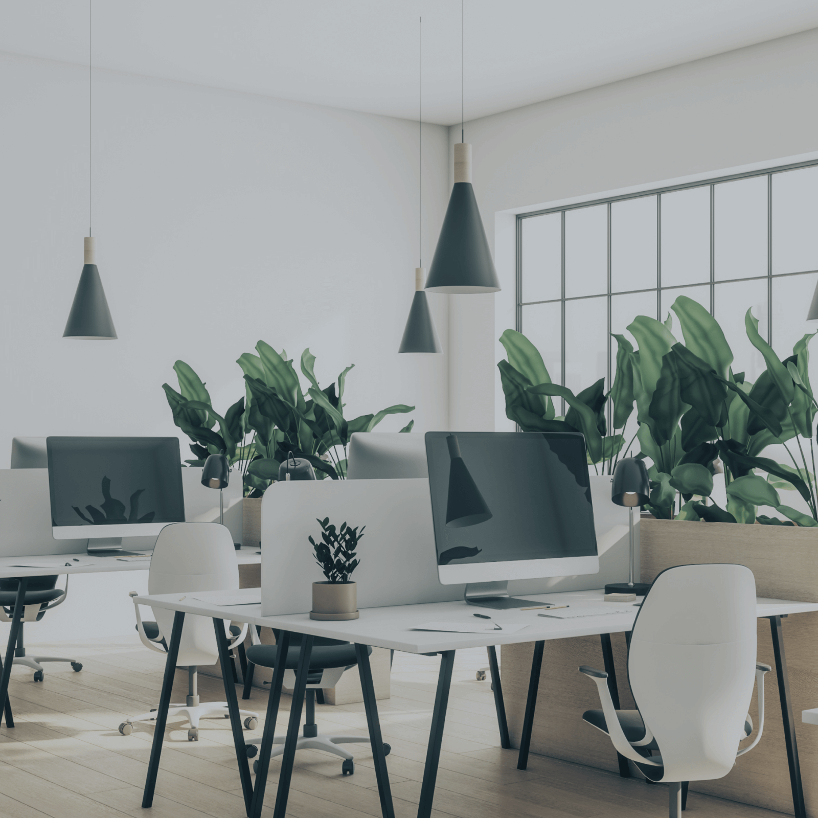 Full-Service Digitalagentur SUNZINET - Change Management Beratung
